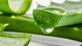 AnaGF<sup>®</sup>芦荟发酵滤液