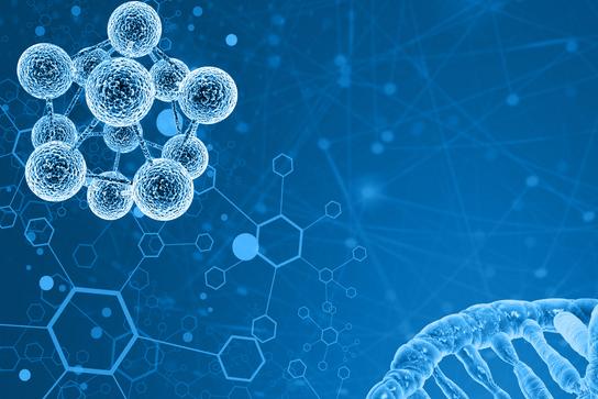 高效酵母发酵物定制平台