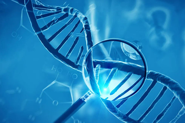 高生物活性蛋白表达平台