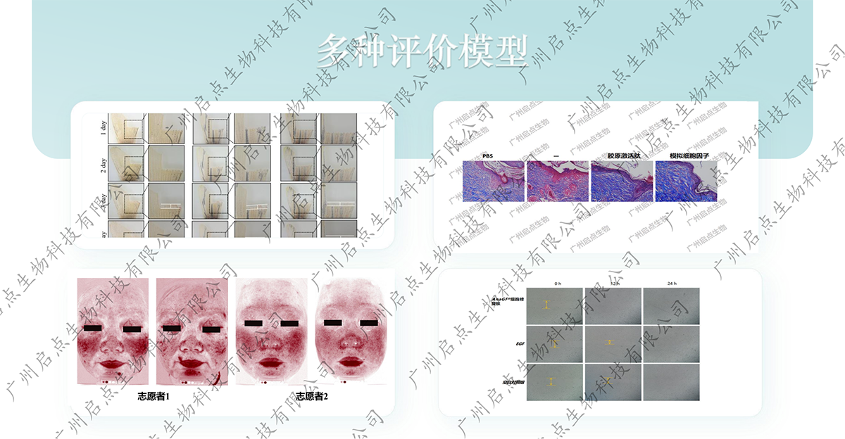 4a51729c-a2ac-4ba1-afa0-4fba9464cf78.png